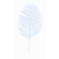 6" Artificial White Plastic Cycus Fern Spray Pick (lot of 12) SALE ITEM